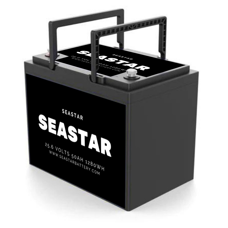Best trolling motor battery for 80 lb thrust
