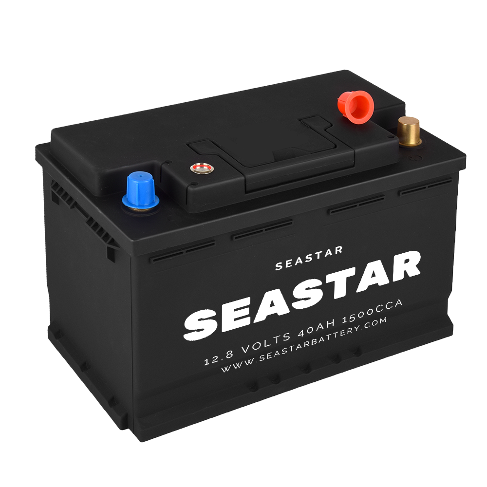 Marine Battery